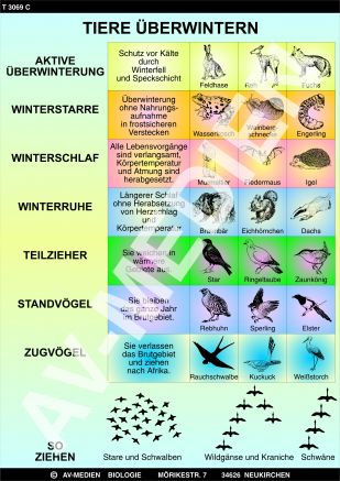 Tiere überwintern