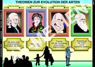 Theorien zur Evolution der Arten