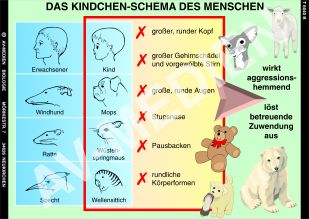 Angeborenes Verhalten beim Menschen