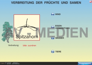 Die Verbreitung der Früchte und Samen