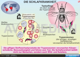 Tropenkrankheiten