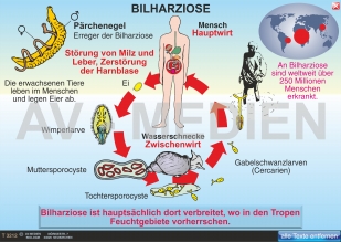 Tropenkrankheiten