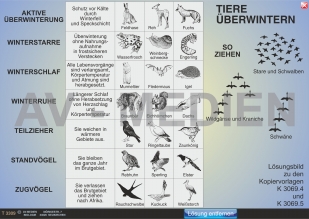 Tiere überwintern