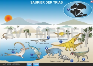 Die Saurier des Erdmittelalters