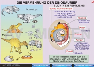 Ernährung und Vermehrung der Dinosaurier