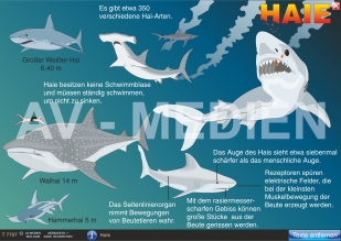 Merkmale der Fische