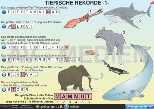 Tierische Rekorde