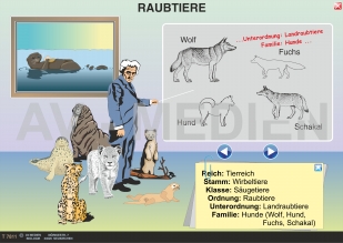 Die Raubtiere (Fleischfresser)