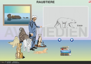 Die Raubtiere (Fleischfresser)