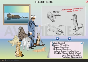 Die Raubtiere (Fleischfresser)