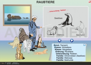 Die Raubtiere (Fleischfresser)