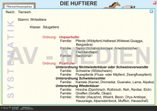 Die Huftiere