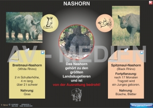 Afrikanische Tierwelt