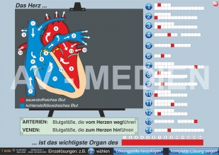 Das Herz - Bau und Arbeitsweise