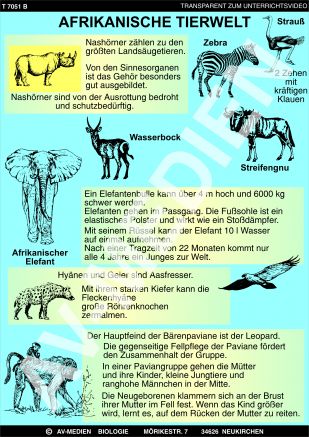 VHS: Afrikanische Tierwelt