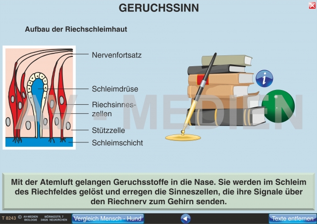 Riechen und Schmecken AVMedien